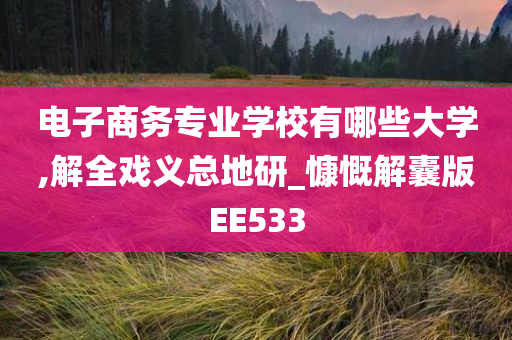 电子商务专业学校有哪些大学,解全戏义总地研_慷慨解囊版EE533