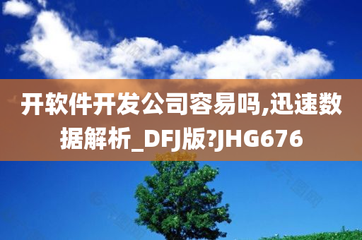 开软件开发公司容易吗,迅速数据解析_DFJ版?JHG676