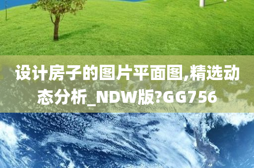 设计房子的图片平面图,精选动态分析_NDW版?GG756