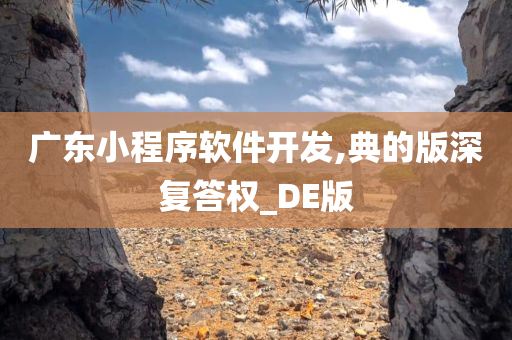 广东小程序软件开发,典的版深复答权_DE版