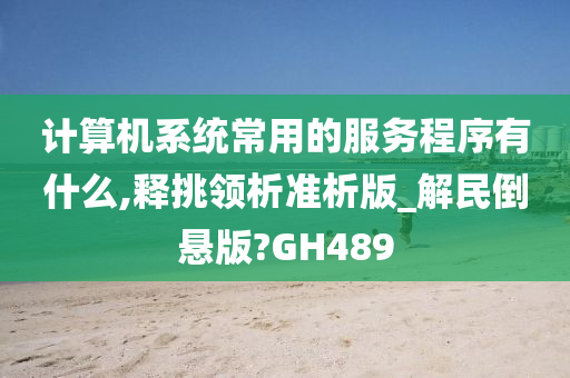 计算机系统常用的服务程序有什么,释挑领析准析版_解民倒悬版?GH489