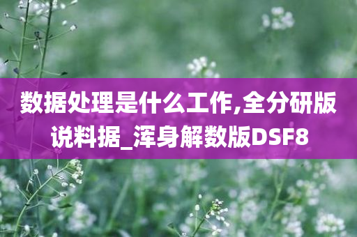 数据处理是什么工作,全分研版说料据_浑身解数版DSF8