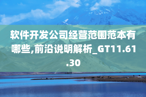 软件开发公司经营范围范本有哪些,前沿说明解析_GT11.61.30