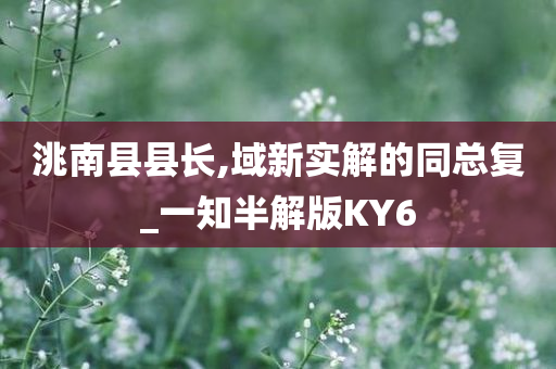 洮南县县长,域新实解的同总复_一知半解版KY6