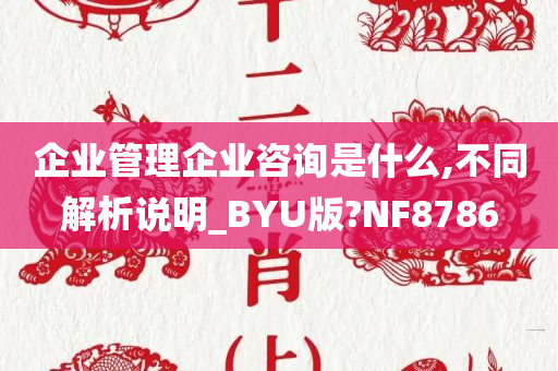 企业管理企业咨询是什么,不同解析说明_BYU版?NF8786