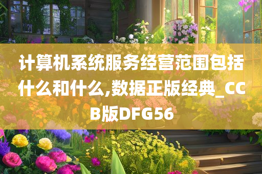 计算机系统服务经营范围包括什么和什么,数据正版经典_CCB版DFG56