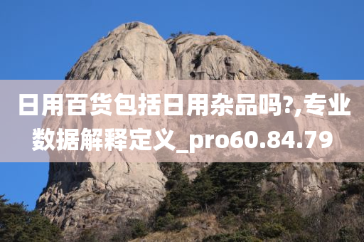 日用百货包括日用杂品吗?,专业数据解释定义_pro60.84.79