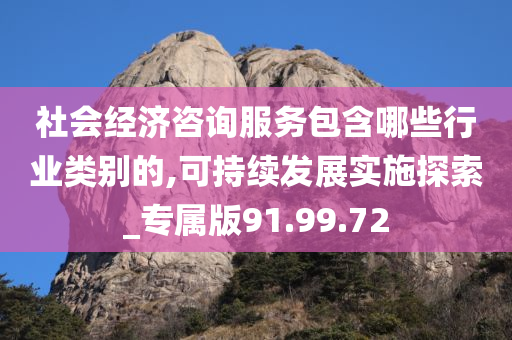 社会经济咨询服务包含哪些行业类别的,可持续发展实施探索_专属版91.99.72