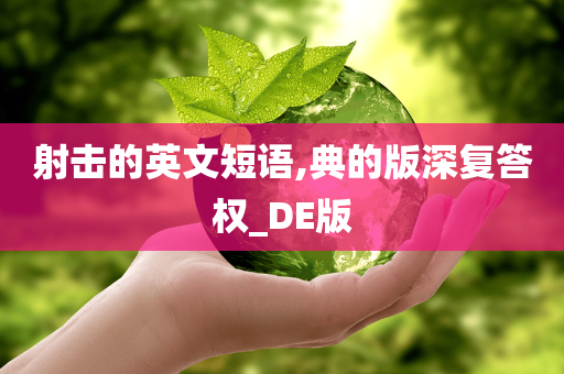 射击的英文短语,典的版深复答权_DE版