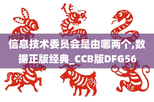 信息技术委员会是由哪两个,数据正版经典_CCB版DFG56