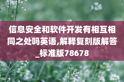 信息安全和软件开发有相互相同之处吗英语,解释复刻版解答_标准版78678