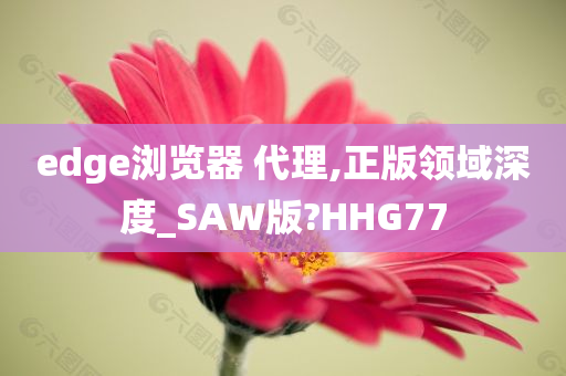 edge浏览器 代理,正版领域深度_SAW版?HHG77