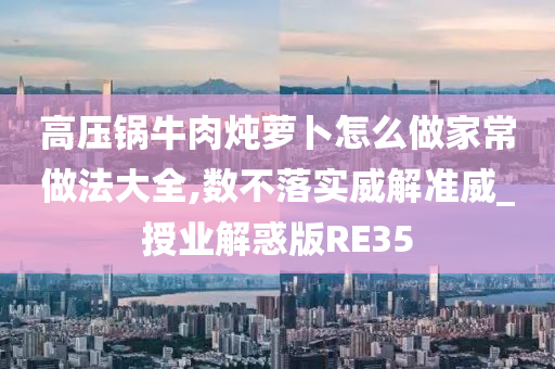 高压锅牛肉炖萝卜怎么做家常做法大全,数不落实威解准威_授业解惑版RE35