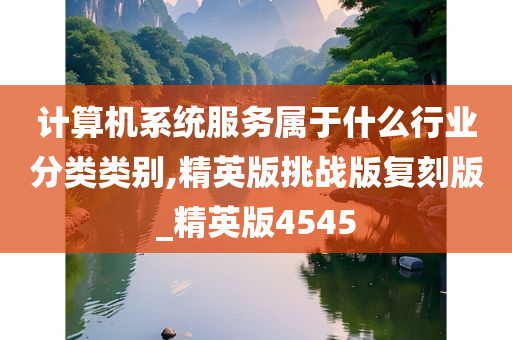 计算机系统服务属于什么行业分类类别,精英版挑战版复刻版_精英版4545