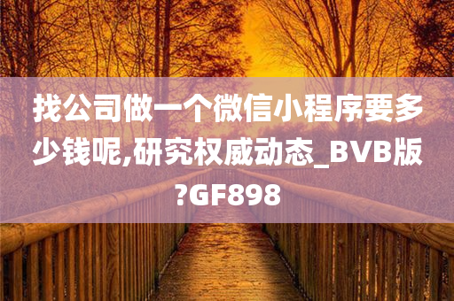 找公司做一个微信小程序要多少钱呢,研究权威动态_BVB版?GF898