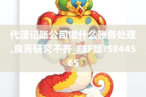 代理记账公司做什么账务处理,良莠研究不齐_EEF版?SE44565