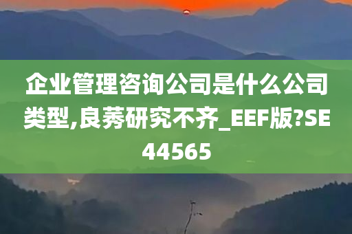 企业管理咨询公司是什么公司类型,良莠研究不齐_EEF版?SE44565