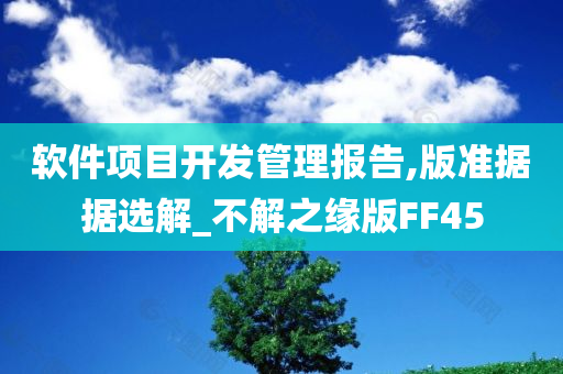 软件项目开发管理报告,版准据据选解_不解之缘版FF45