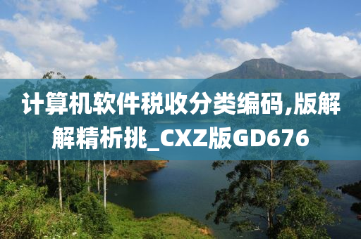 计算机软件税收分类编码,版解解精析挑_CXZ版GD676