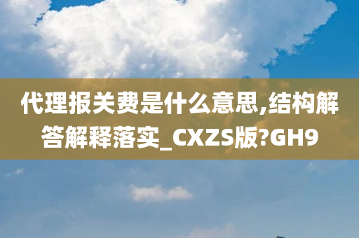 代理报关费是什么意思,结构解答解释落实_CXZS版?GH9