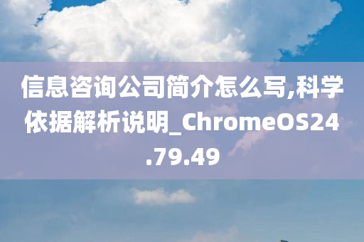 信息咨询公司简介怎么写,科学依据解析说明_ChromeOS24.79.49