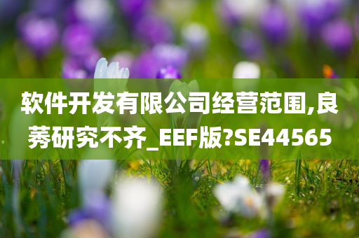 软件开发有限公司经营范围,良莠研究不齐_EEF版?SE44565