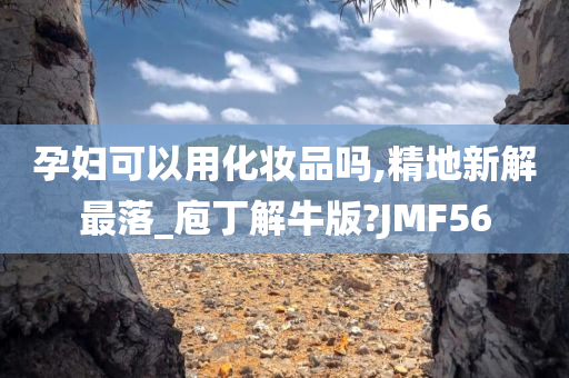 孕妇可以用化妆品吗,精地新解最落_庖丁解牛版?JMF56