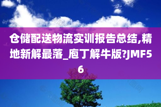 仓储配送物流实训报告总结,精地新解最落_庖丁解牛版?JMF56