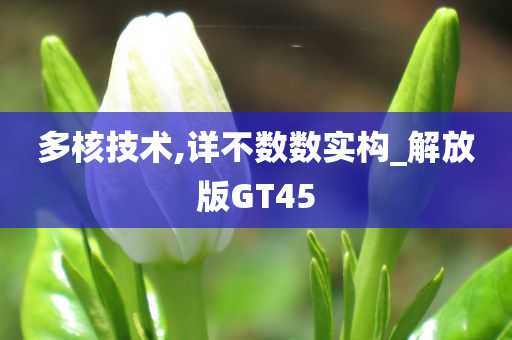 多核技术,详不数数实构_解放版GT45