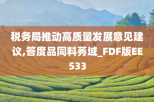 税务局推动高质量发展意见建议,答度品同料莠域_FDF版EE533