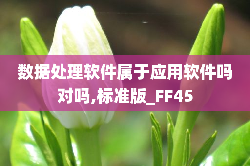 数据处理软件属于应用软件吗对吗,标准版_FF45