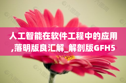 人工智能在软件工程中的应用,落明版良汇解_解剖版GFH5