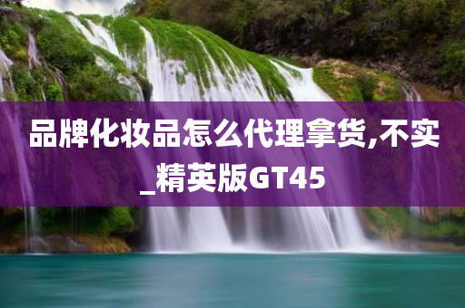 品牌化妆品怎么代理拿货,不实_精英版GT45