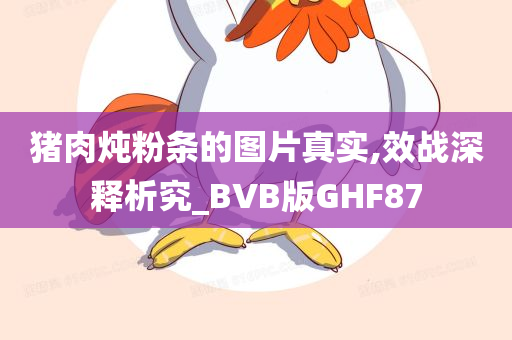 猪肉炖粉条的图片真实,效战深释析究_BVB版GHF87