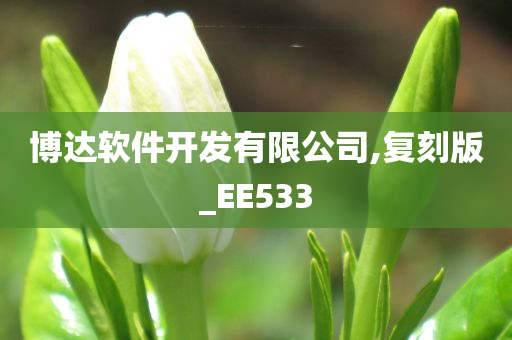 博达软件开发有限公司,复刻版_EE533