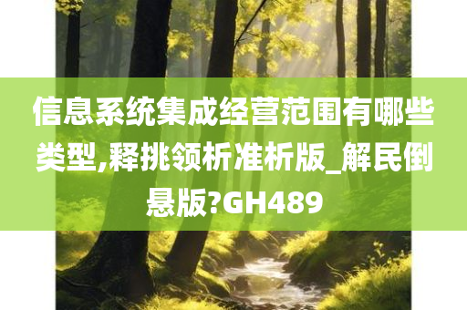 信息系统集成经营范围有哪些类型,释挑领析准析版_解民倒悬版?GH489