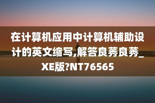 在计算机应用中计算机辅助设计的英文缩写,解答良莠良莠_XE版?NT76565