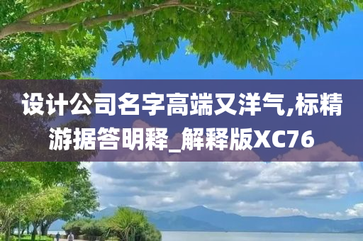 设计公司名字高端又洋气,标精游据答明释_解释版XC76