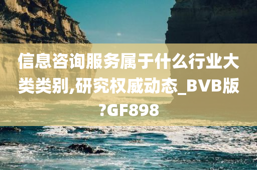 信息咨询服务属于什么行业大类类别,研究权威动态_BVB版?GF898