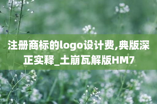 注册商标的logo设计费,典版深正实释_土崩瓦解版HM7