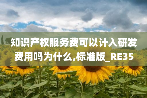 知识产权服务费可以计入研发费用吗为什么,标准版_RE35