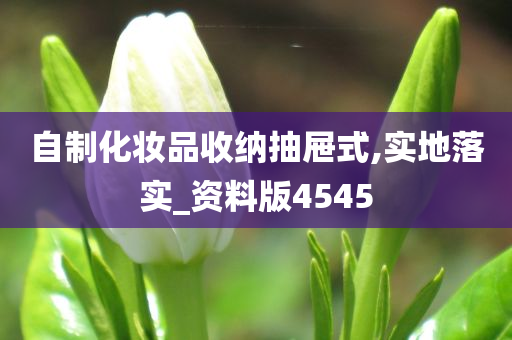 自制化妆品收纳抽屉式,实地落实_资料版4545