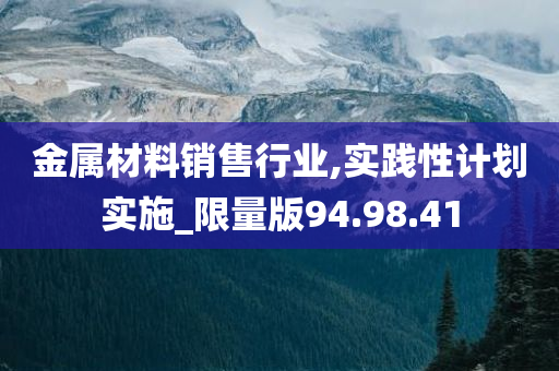 金属材料销售行业,实践性计划实施_限量版94.98.41