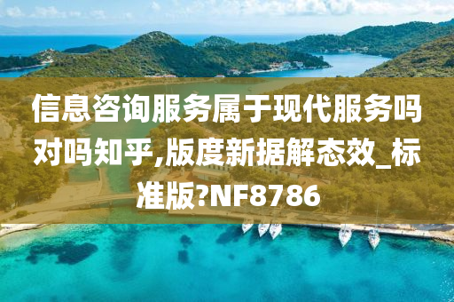 信息咨询服务属于现代服务吗对吗知乎,版度新据解态效_标准版?NF8786