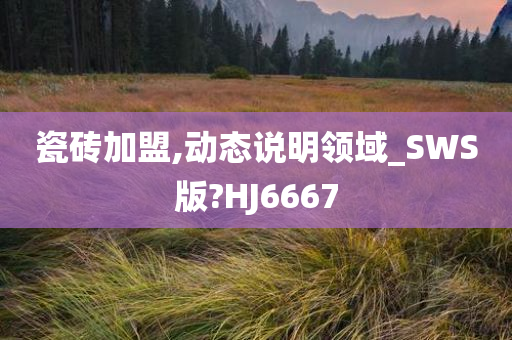 瓷砖加盟,动态说明领域_SWS版?HJ6667