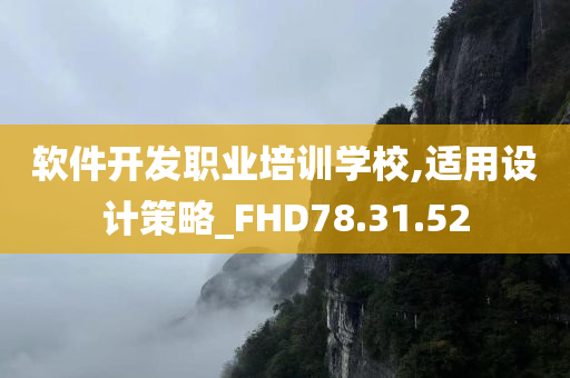 软件开发职业培训学校,适用设计策略_FHD78.31.52