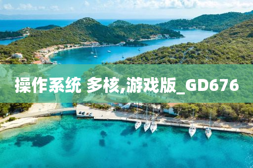 操作系统 多核,游戏版_GD676