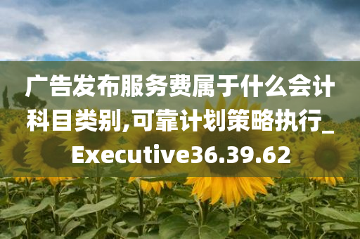 广告发布服务费属于什么会计科目类别,可靠计划策略执行_Executive36.39.62