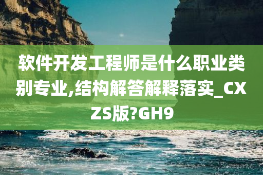 软件开发工程师是什么职业类别专业,结构解答解释落实_CXZS版?GH9