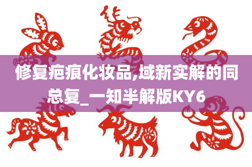 修复疤痕化妆品,域新实解的同总复_一知半解版KY6